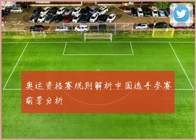 奥运资格赛规则解析中国选手参赛前景分析