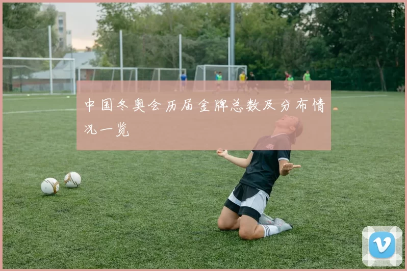 中国冬奥会历届金牌总数及分布情况一览
