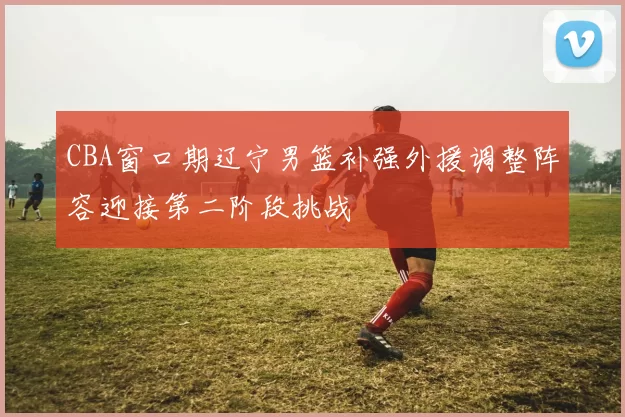 CBA窗口期辽宁男篮补强外援调整阵容迎接第二阶段挑战