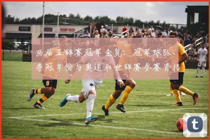 历届亚锦赛冠军全览：冠军球队、夺冠年份与奥运和世锦赛参赛资格关联